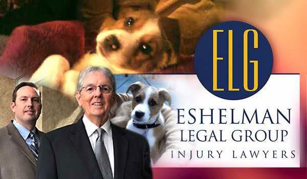 Dog Bites - Animal Attacks | Personal Injury Lawyers Ohio