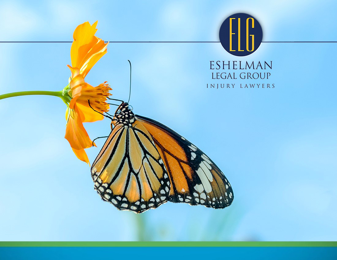 The Monarch Butterfly