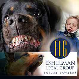 eshelman legal group dog bites photo